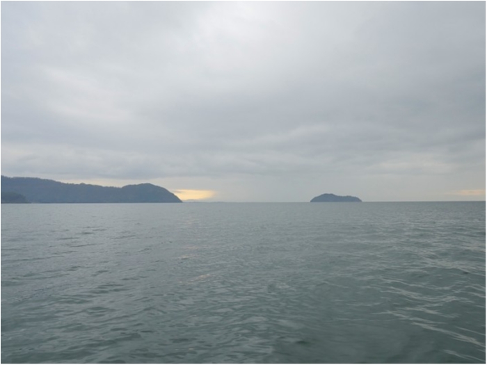 truth  ブログ写真 2018/11/17