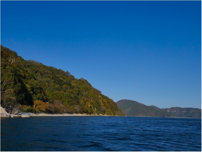 truth  ブログ写真 2018/11/17