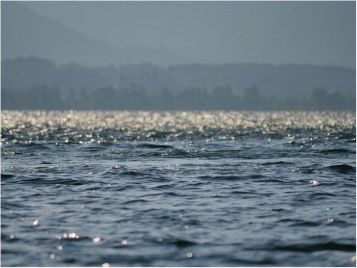 truth  ブログ写真 2018/11/17