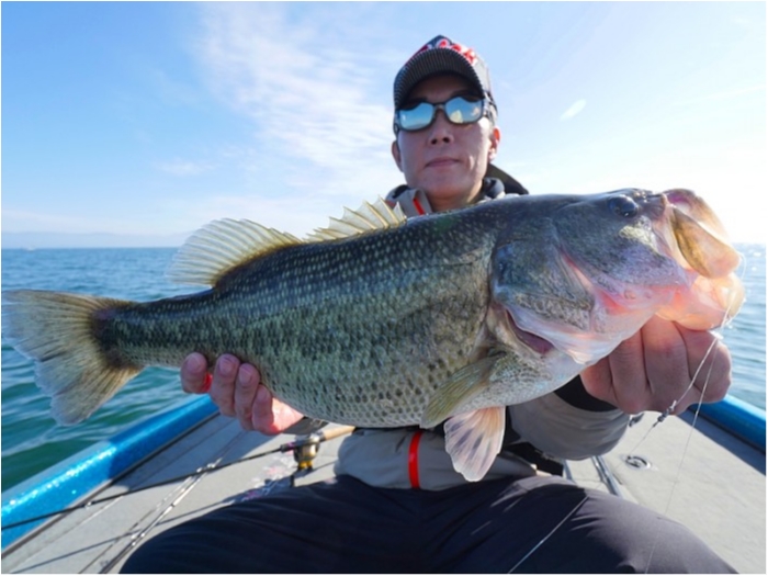 truth ブログ写真 2018/11/19