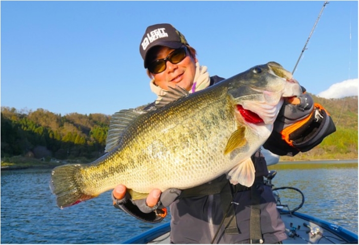 truth ブログ写真 2018/11/20