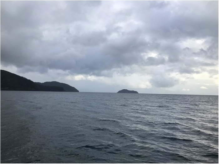 truth ブログ写真 2018/11/22