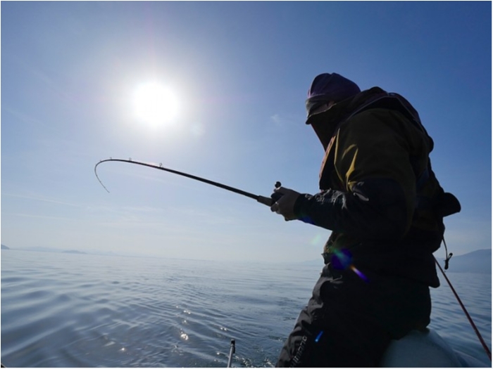 truth ブログ写真 2018/12/02