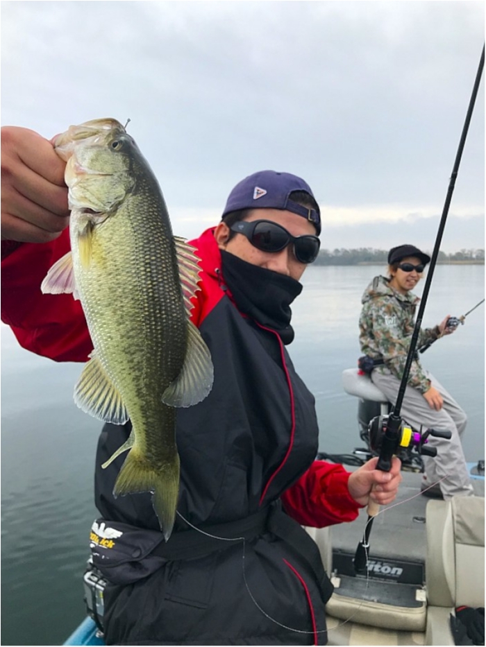 truth  ブログ写真 2018/12/04