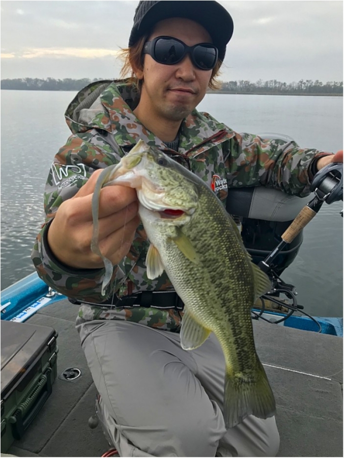 truth  ブログ写真 2018/12/04