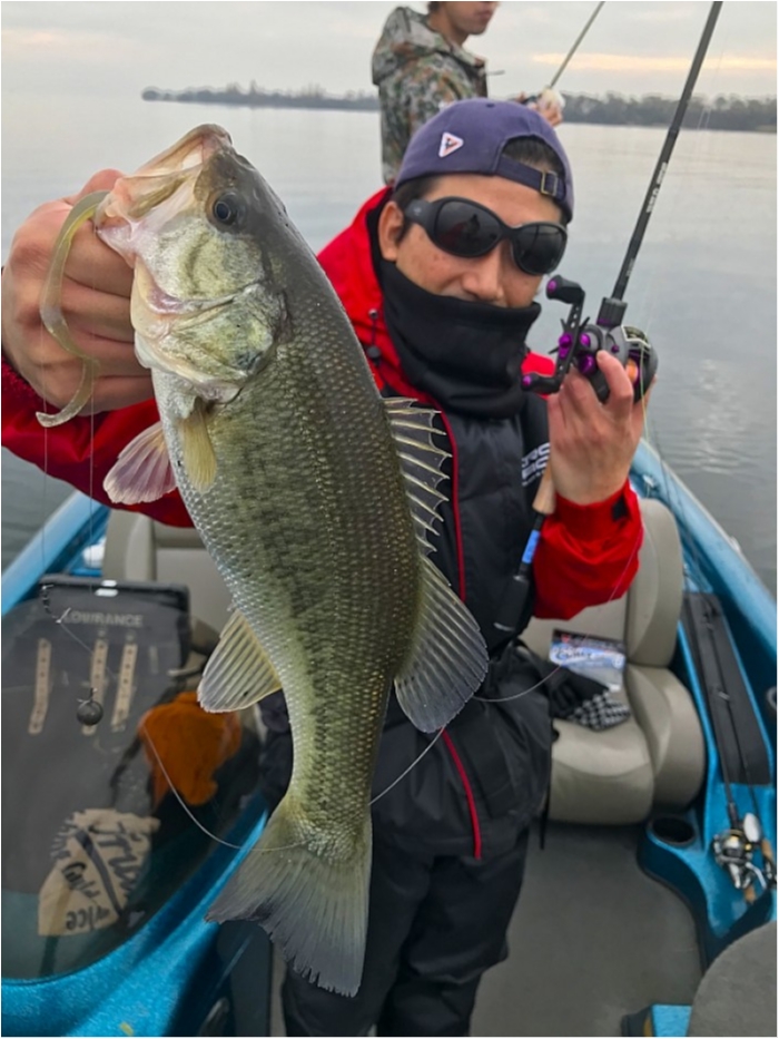 truth  ブログ写真 2018/12/04