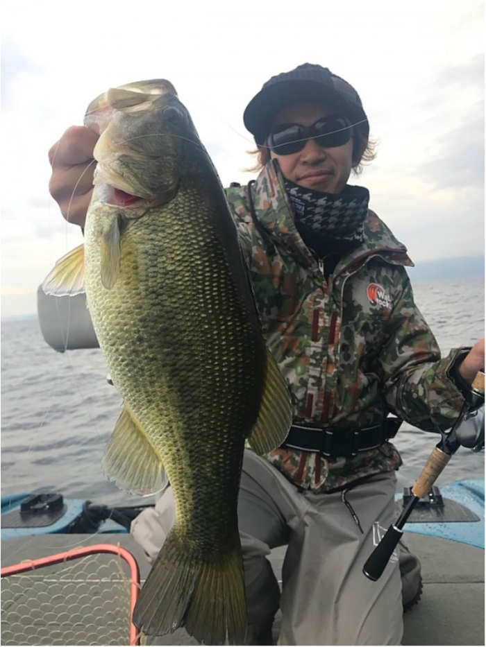 truth  ブログ写真 2018/12/04