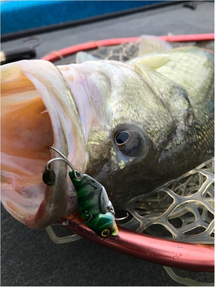 truth ブログ写真 2018/12/04