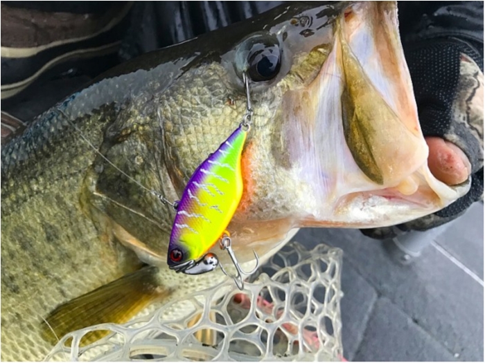 truth  ブログ写真 2018/12/06