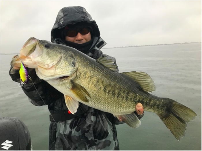 truth  ブログ写真 2018/12/06