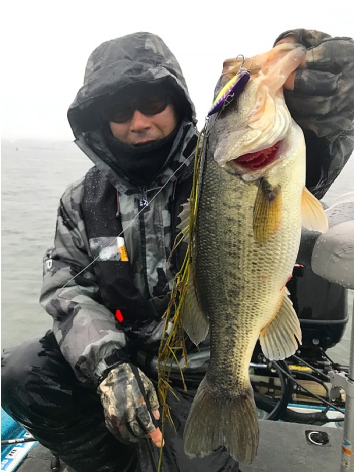 truth  ブログ写真 2018/12/06