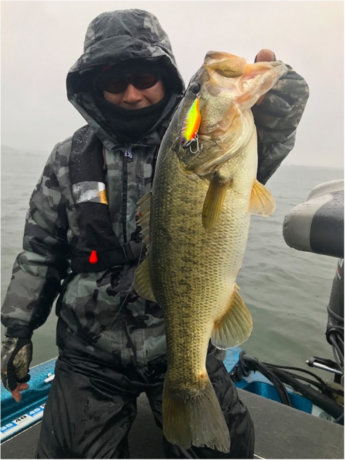 truth  ブログ写真 2018/12/06