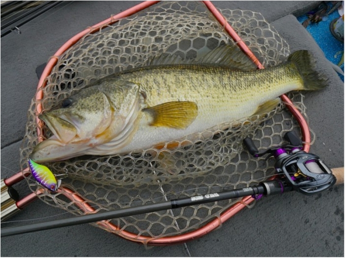 truth  ブログ写真 2018/12/10