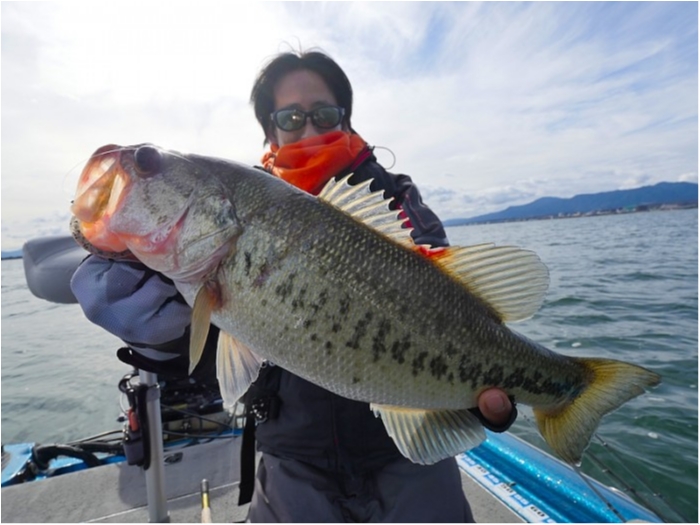 truth  ブログ写真 2018/12/10