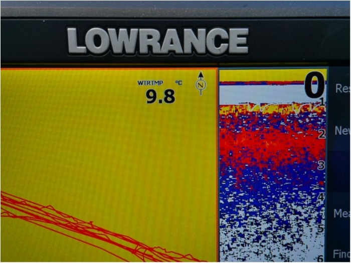 truth ブログ写真 2018/12/14