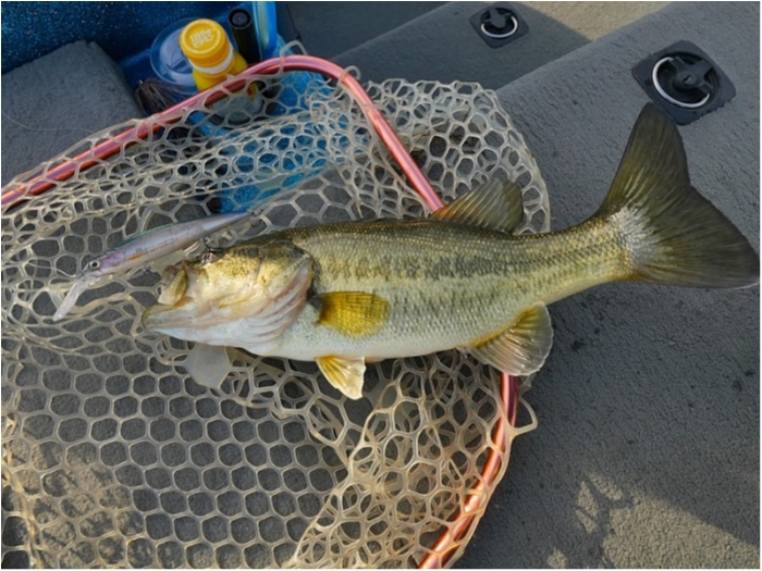 truth ブログ写真 2018/12/14