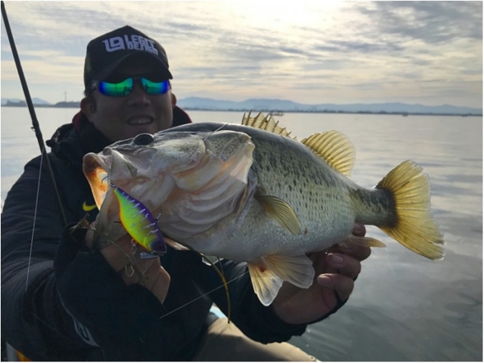 truth  ブログ写真 2018/12/17