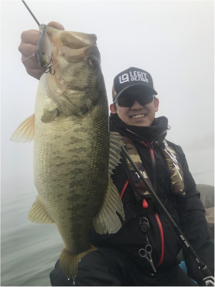 truth ブログ写真 2018/12/21