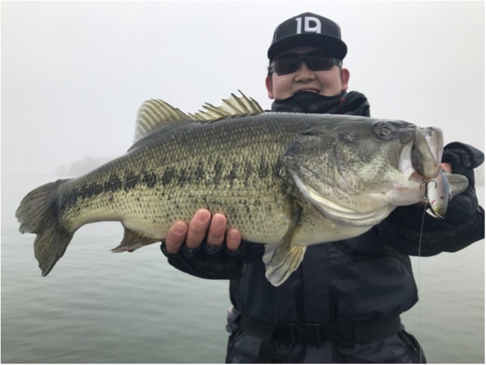 truth ブログ写真 2018/12/21