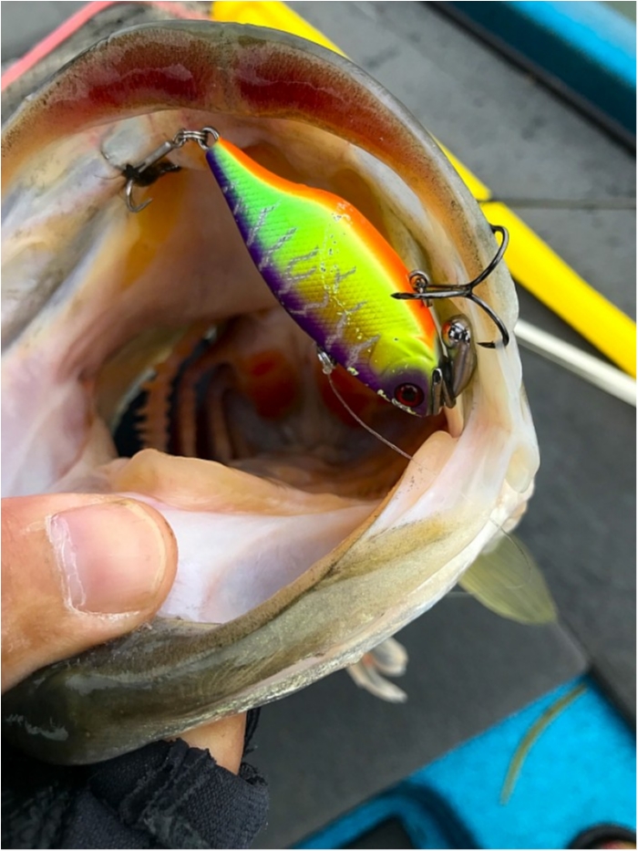 truth ブログ写真 2019/01/03