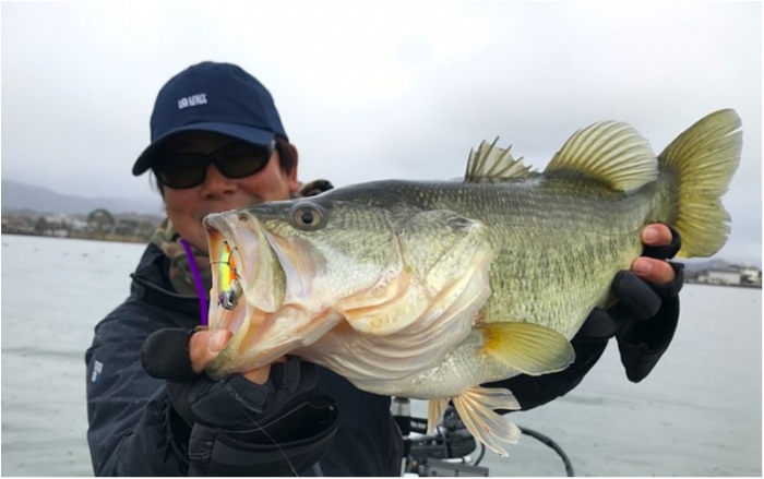 truth ブログ写真 2019/01/03