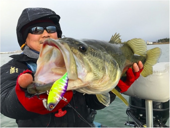 truth ブログ写真 2019/01/03