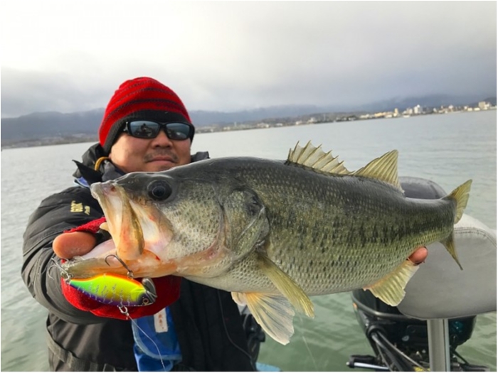 truth ブログ写真 2019/01/03