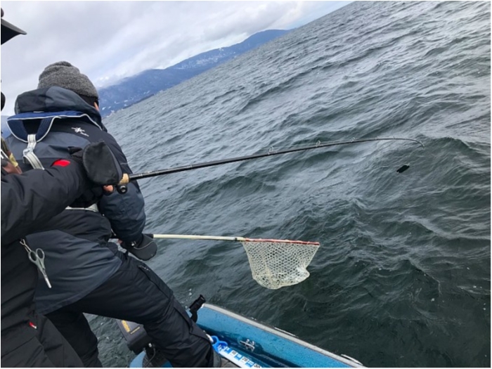 truth ブログ写真 2019/01/04