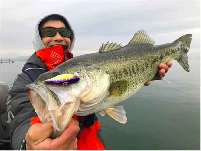 truth ブログ写真 2019/01/05