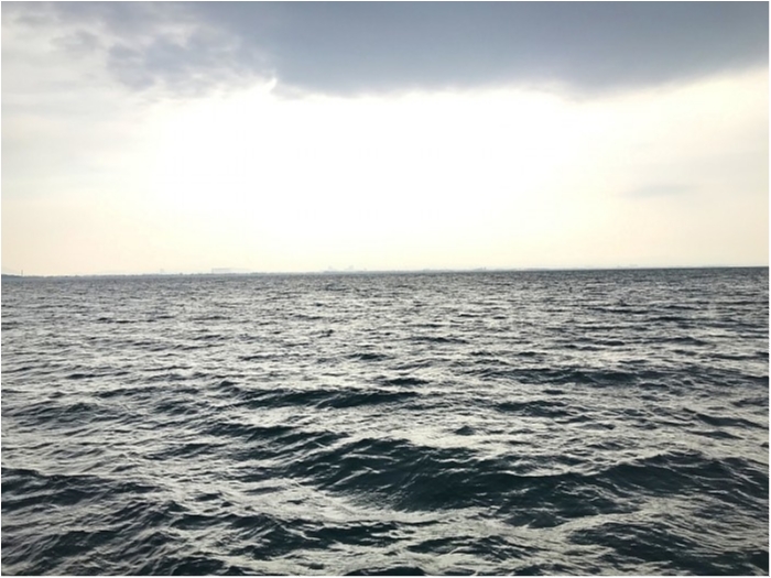 truth ブログ写真 2019/01/08