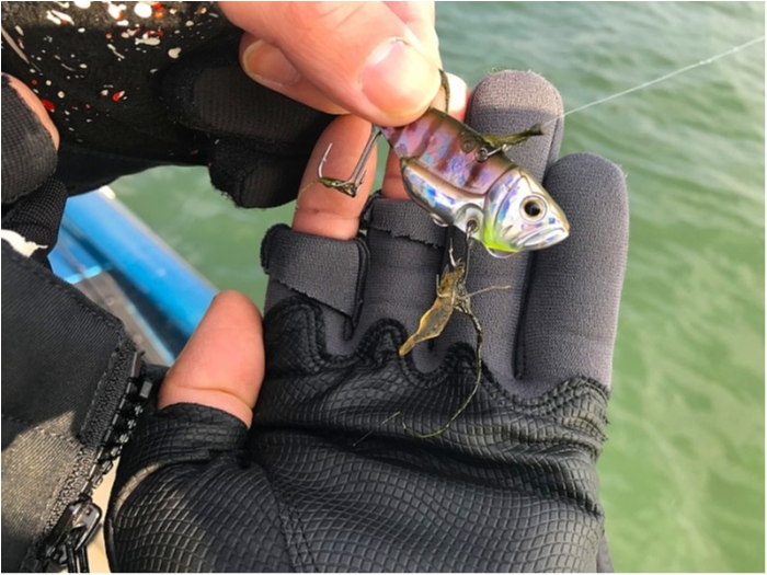 truth ブログ写真 2019/01/08