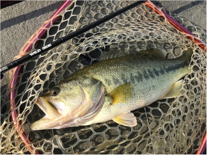 truth ブログ写真 2019/01/08