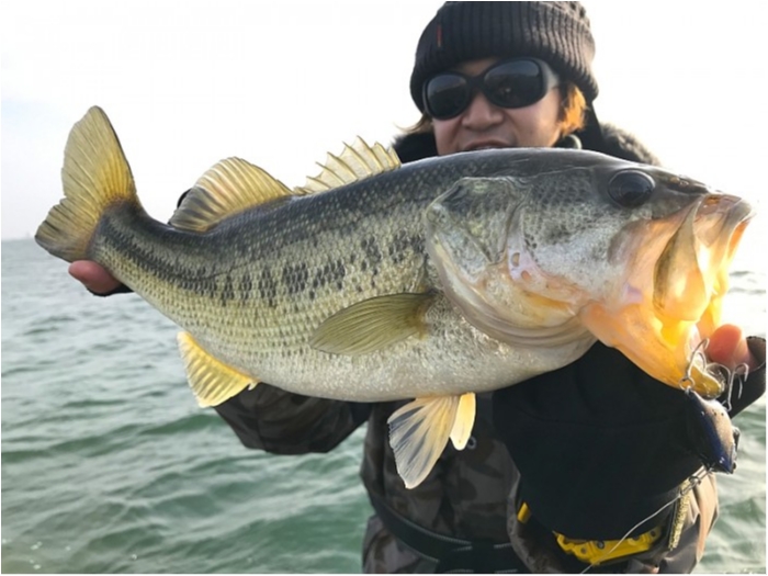 truth ブログ写真 2019/01/08