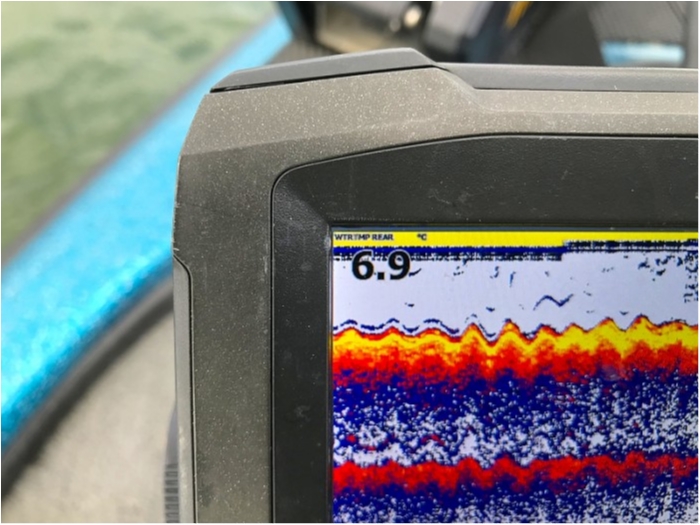 truth ブログ写真 2019/01/12