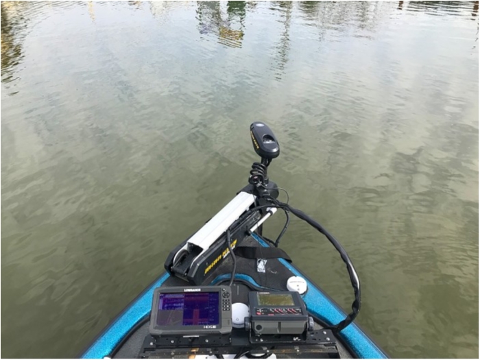 truth  ブログ写真 2019/02/15