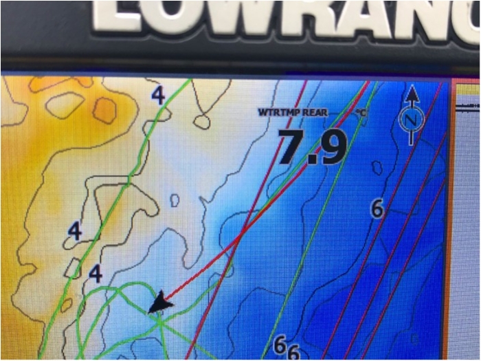 truth  ブログ写真 2019/02/15