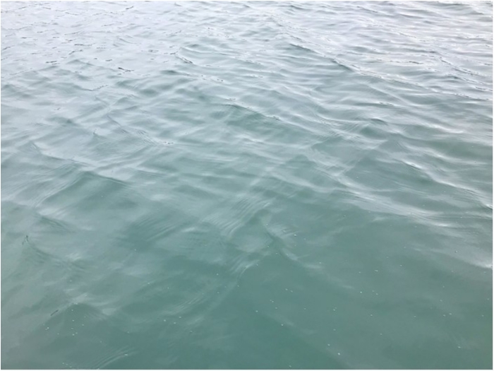 truth  ブログ写真 2019/02/15