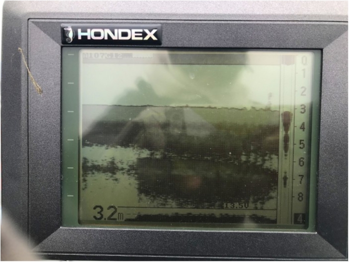 truth  ブログ写真 2019/02/15