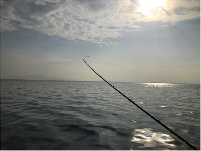 truth ブログ写真 2019/02/16