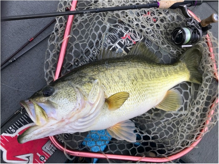 truth ブログ写真 2019/02/17