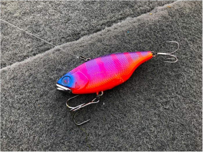 truth ブログ写真 2019/02/20