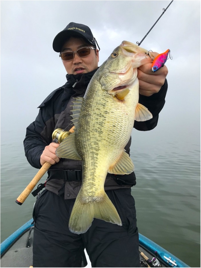 truth ブログ写真 2019/02/20