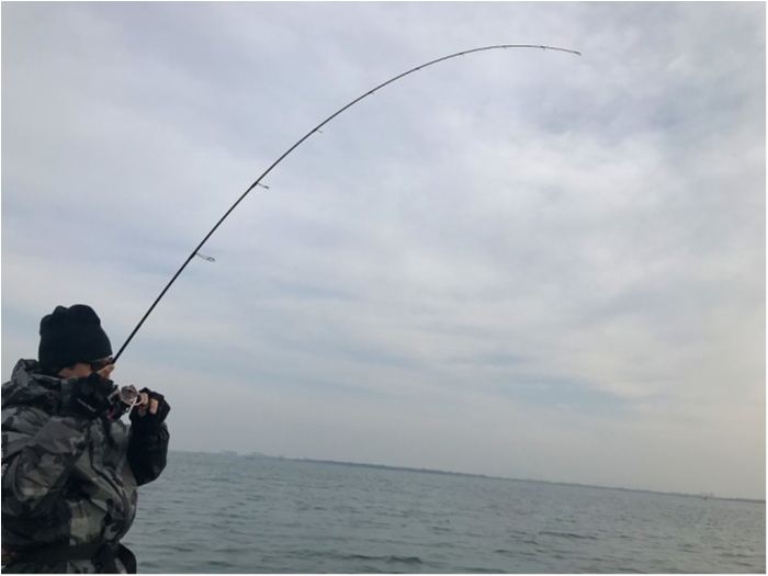 truth ブログ写真 2019/02/22