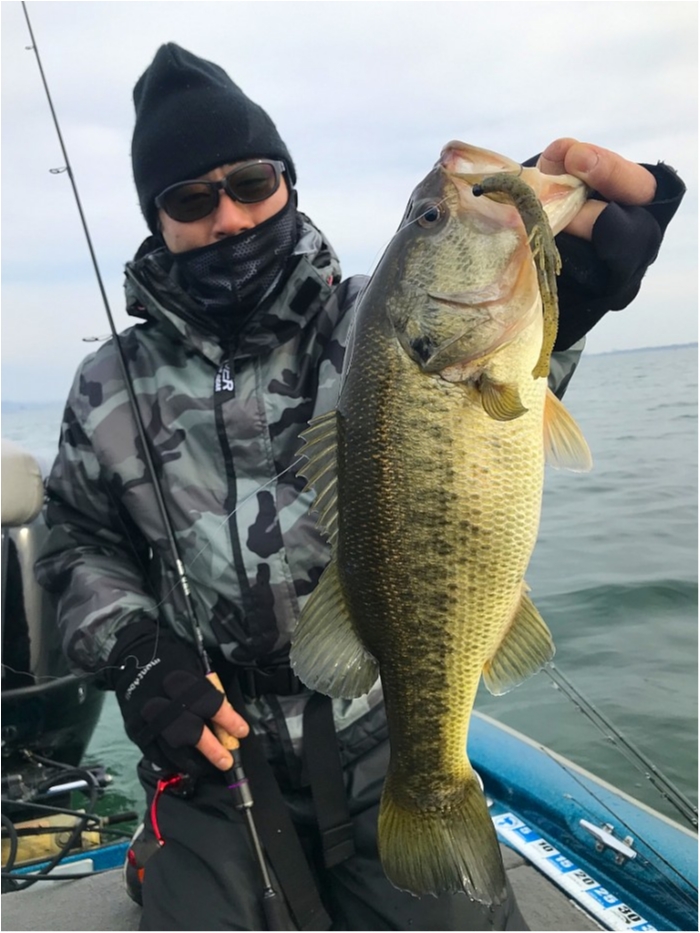 truth ブログ写真 2019/02/22