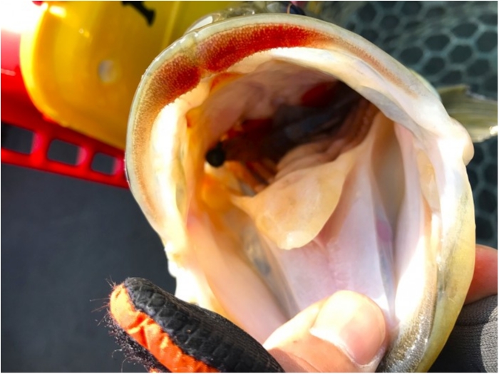 truth ブログ写真 2019/02/22