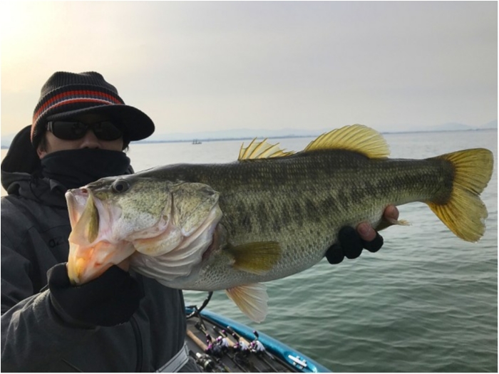 truth ブログ写真 2019/02/24