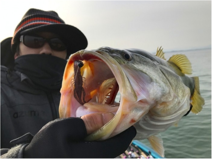 truth ブログ写真 2019/02/24