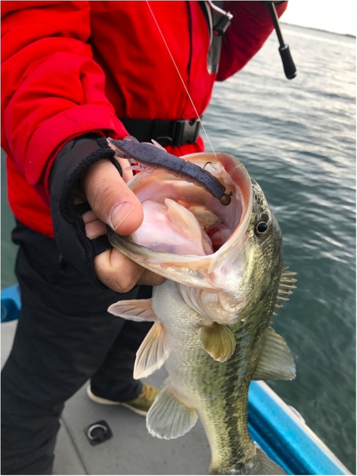 truth  ブログ写真 2019/03/01