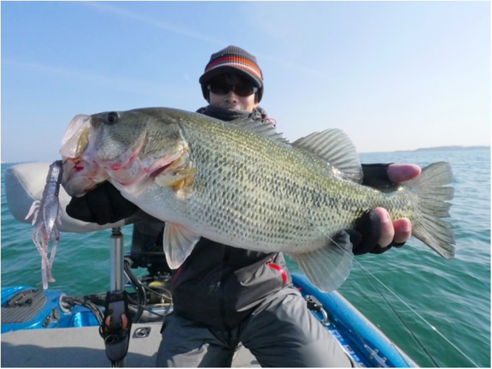 truth  ブログ写真 2019/03/02