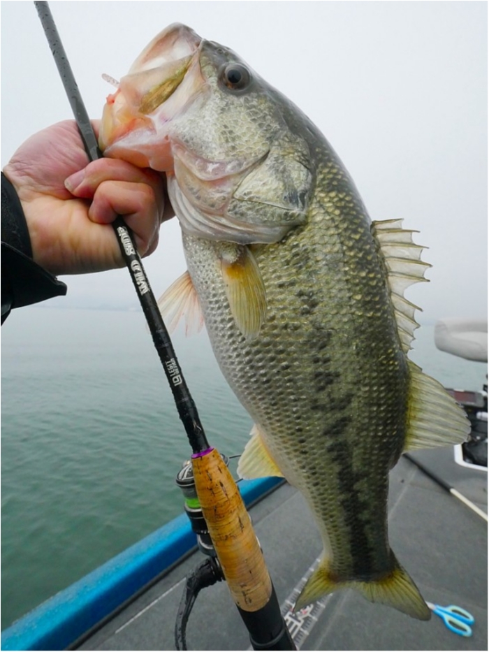 truth  ブログ写真 2019/03/04